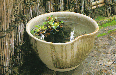 水鉢（白色ビードロ流し）L